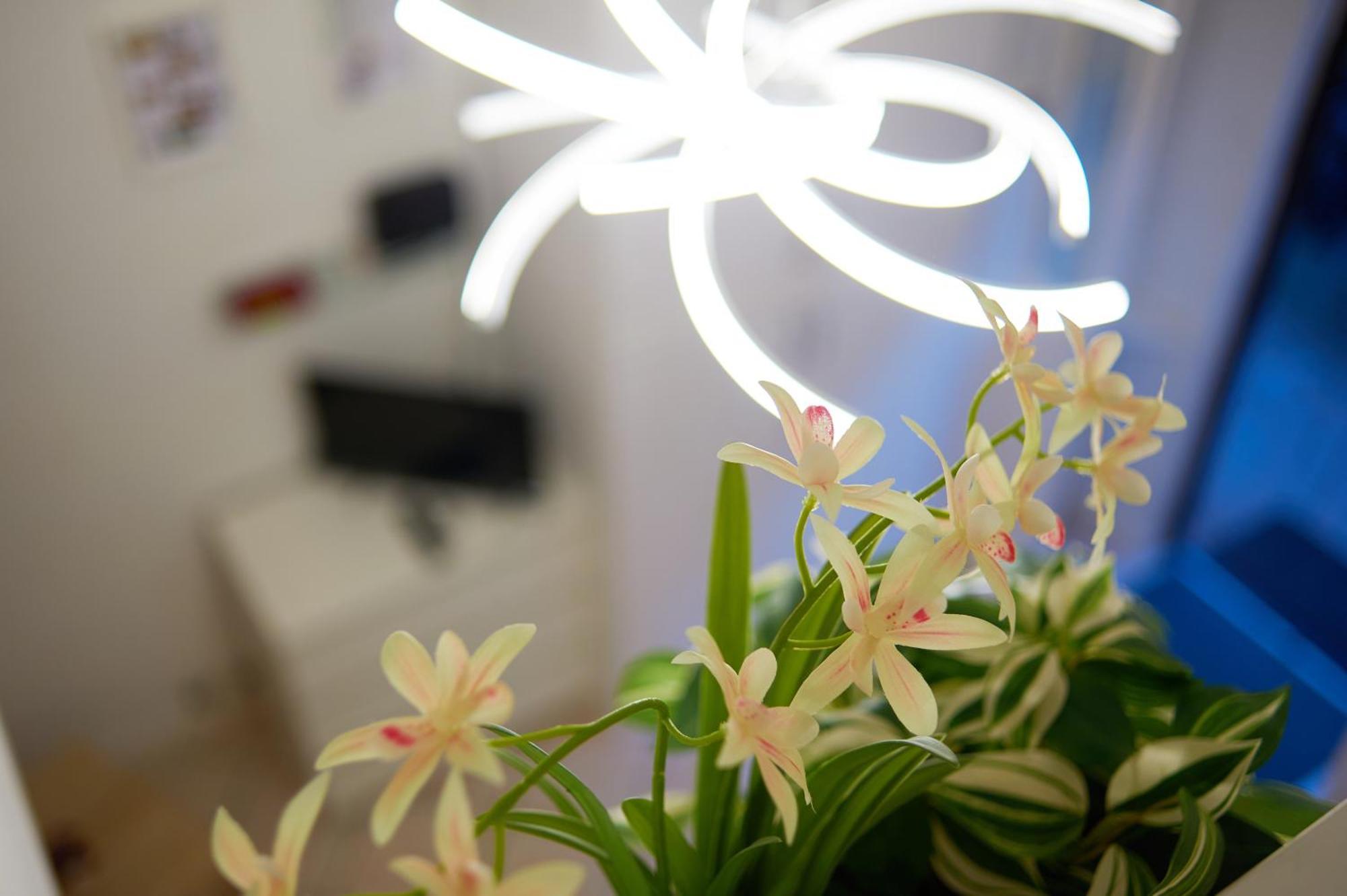 Isola Brera Duomo - Antica Atmosfera - Lovable Cozy Apartment ميلان المظهر الخارجي الصورة