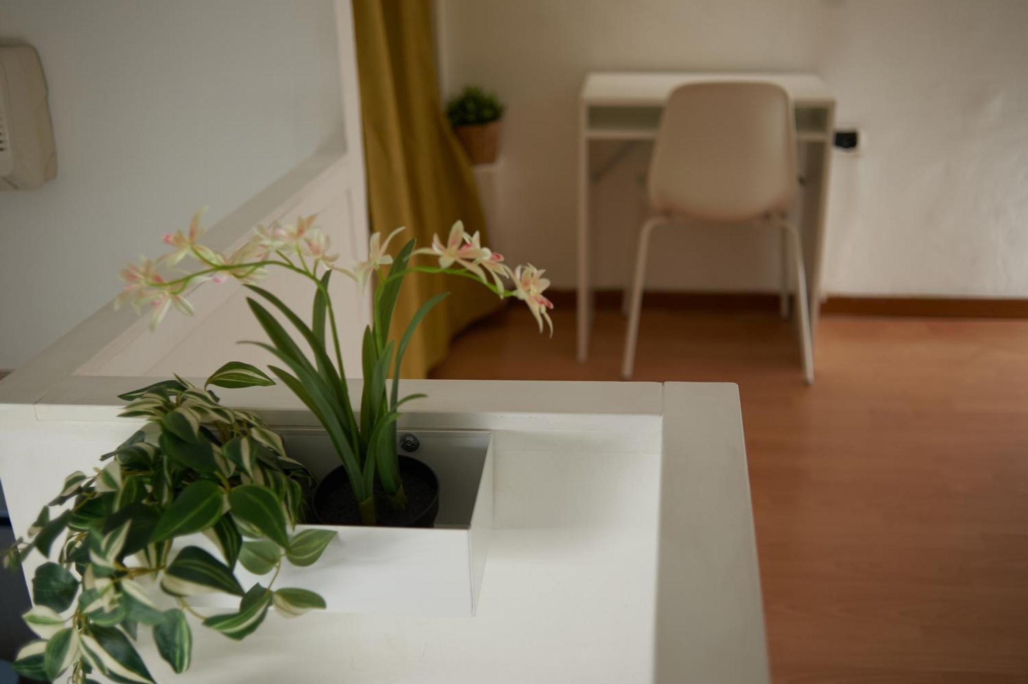 Isola Brera Duomo - Antica Atmosfera - Lovable Cozy Apartment ميلان المظهر الخارجي الصورة